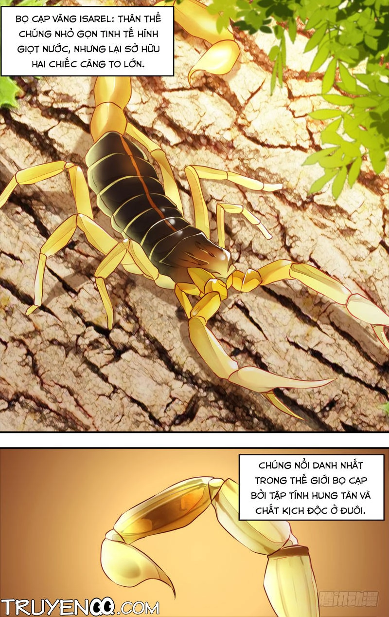 Trùng Sinh Chapter 44 - 21