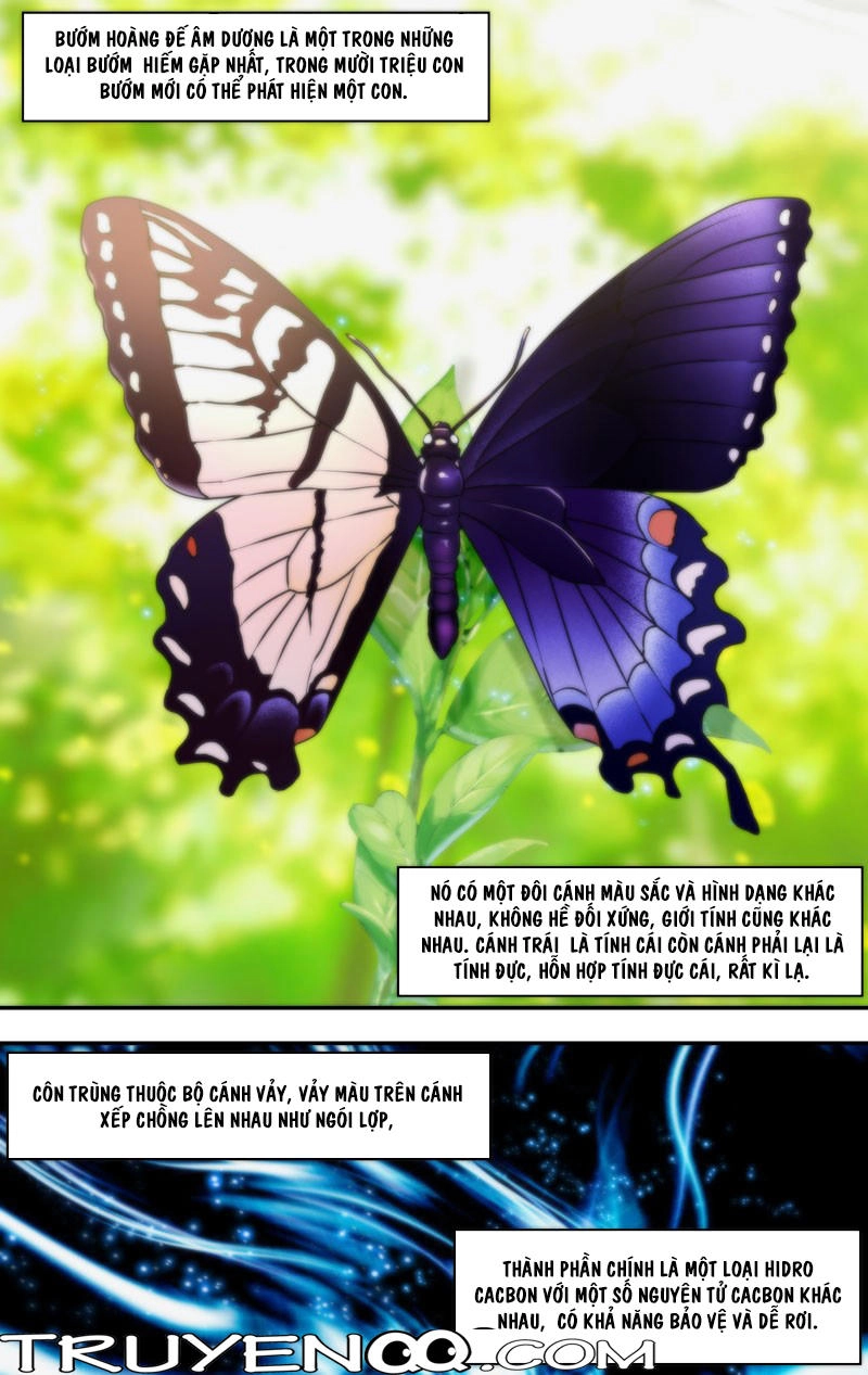 Trùng Sinh Chapter 55 - 15