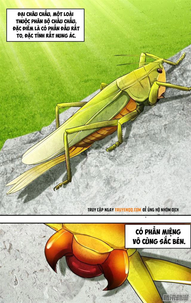 Trùng Sinh Chapter 72 - 27