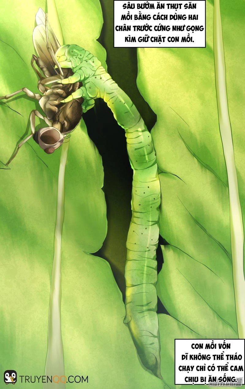 Trùng Sinh Chapter 74 - 26