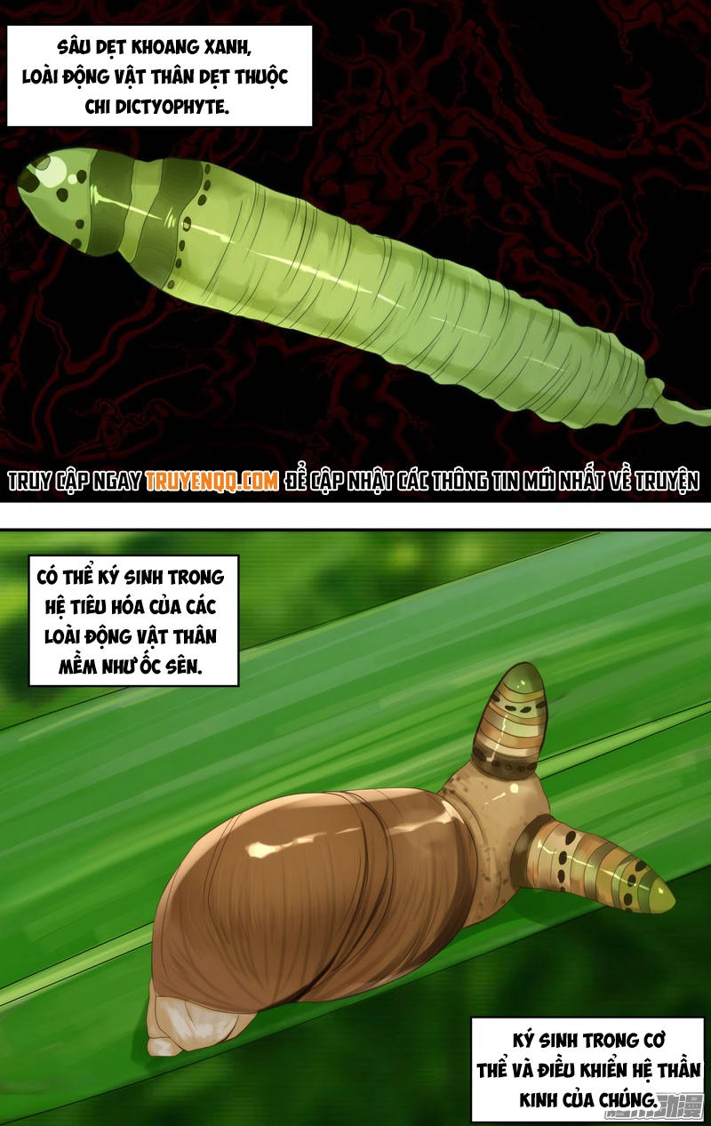 Trùng Sinh Chapter 76 - 27