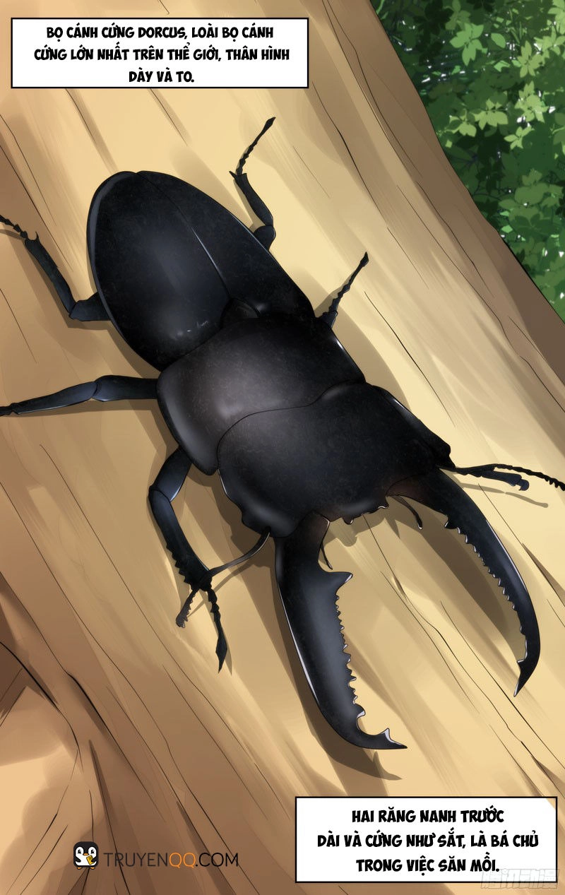 Trùng Sinh Chapter 81 - 23