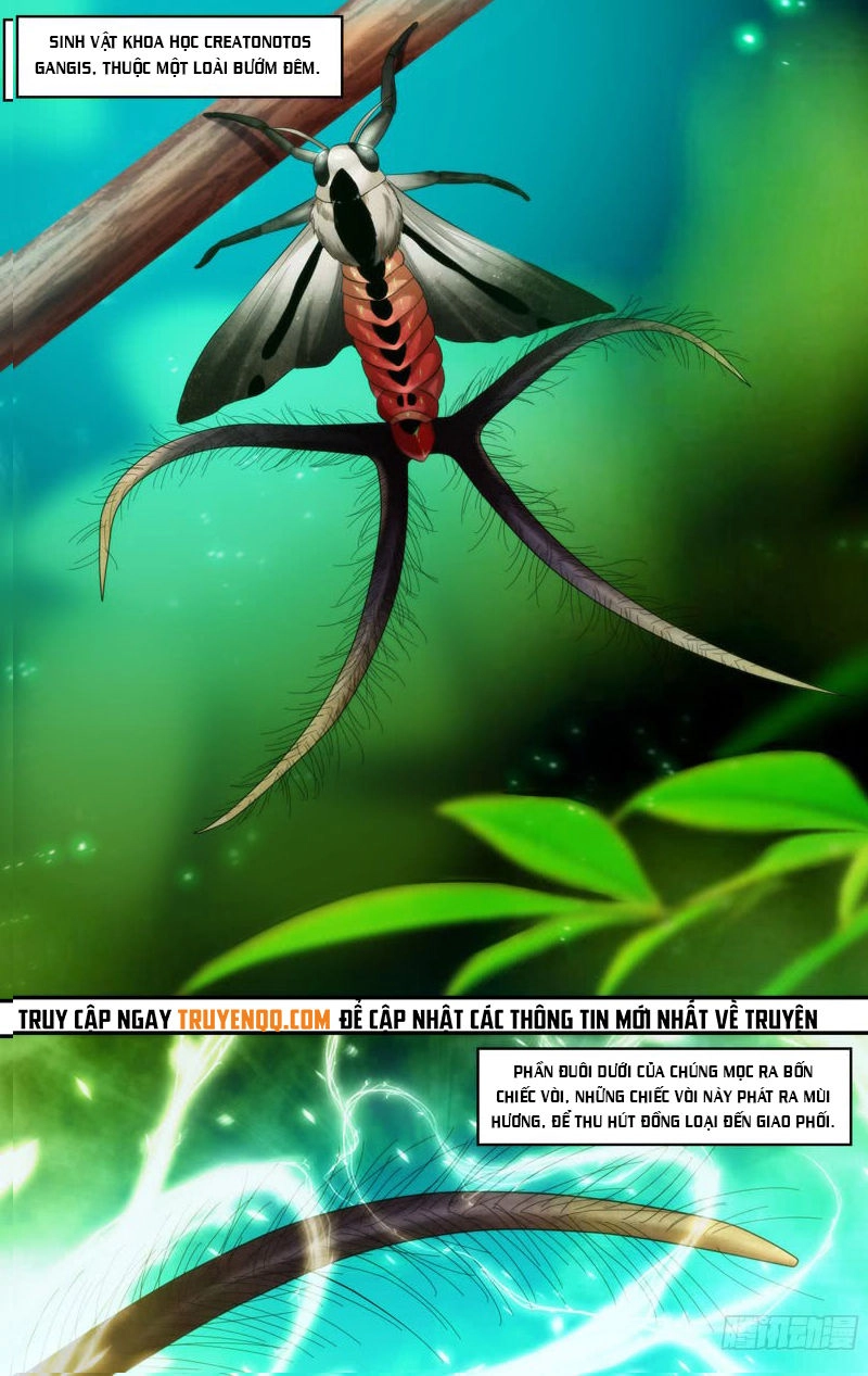 Trùng Sinh Chapter 105 - 25