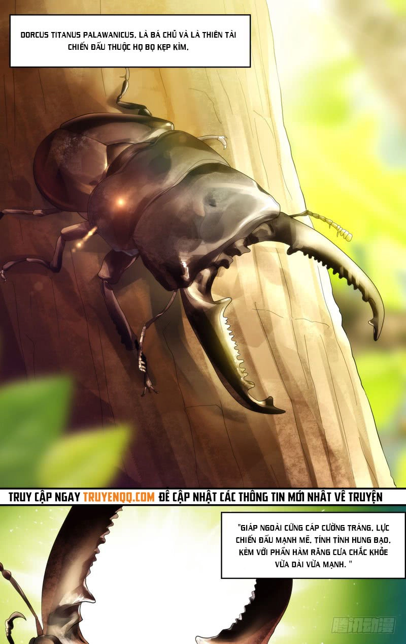 Trùng Sinh Chapter 109 - 4