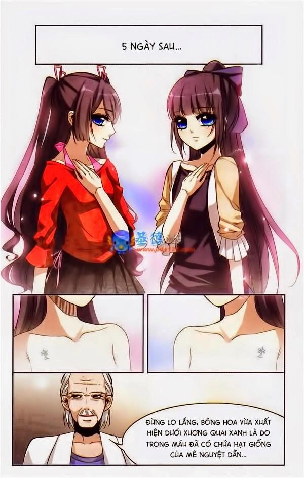 Huyết Tộc Cấm Vực Chapter 2 - 7