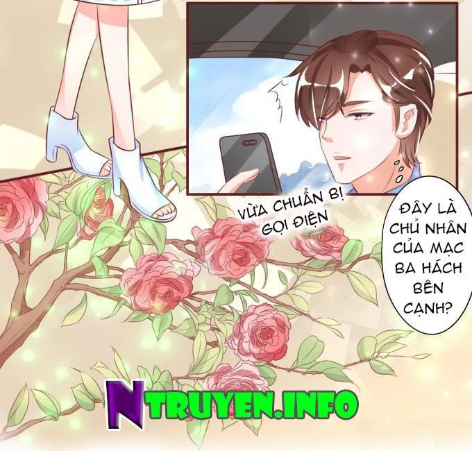 Vương Tước Tư Hữu Bảo Bối Chapter 25 - 31