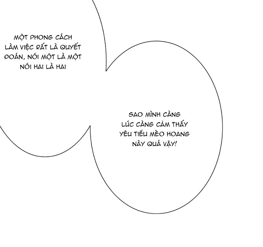 Vương Tước Tư Hữu Bảo Bối Chapter 62 - 11