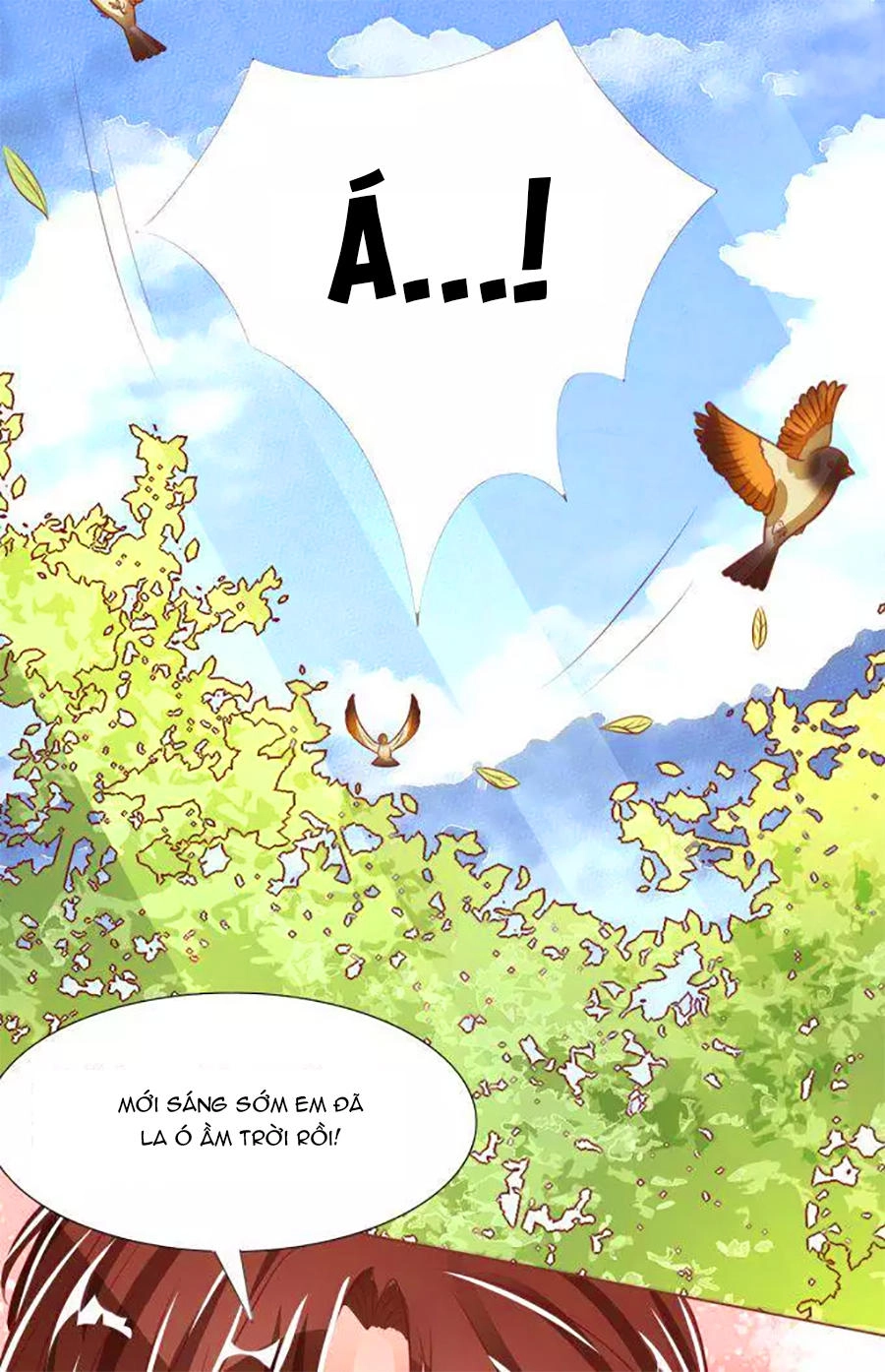 Vương Tước Tư Hữu Bảo Bối Chapter 70 - 13