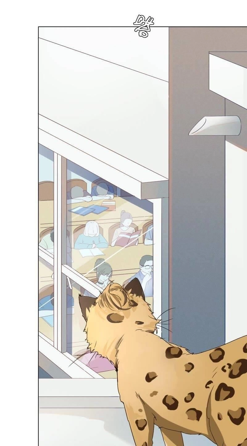 Thập Nhị Hắc Miêu Chapter 1 - 2