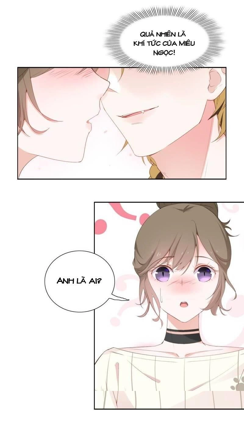 Thập Nhị Hắc Miêu Chapter 2 - 1