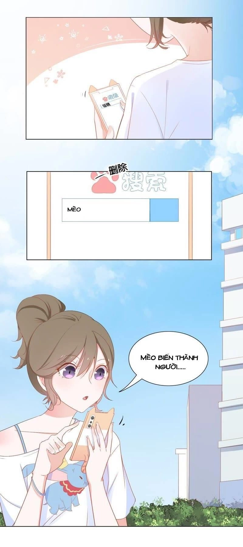 Thập Nhị Hắc Miêu Chapter 2 - 23