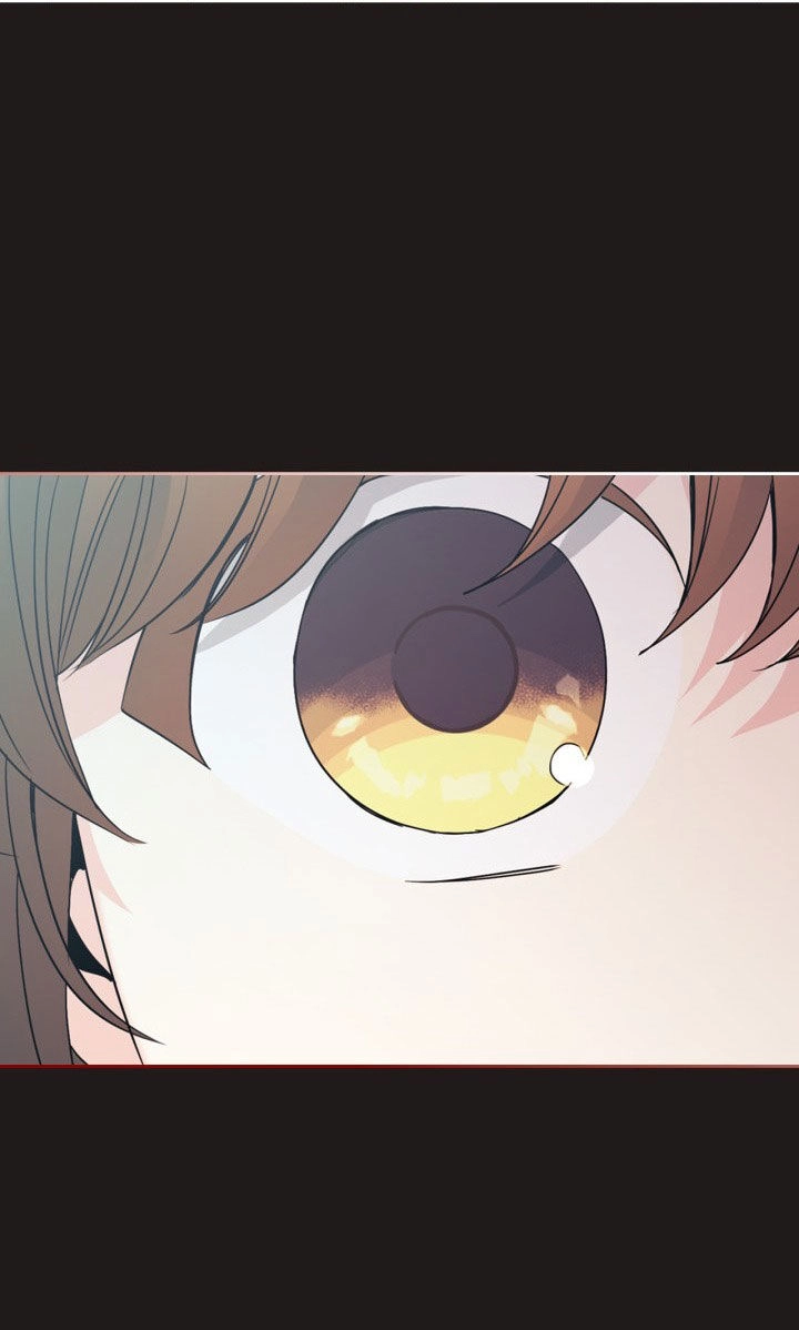 Luật Của Tiểu Thuyết Mạng Chapter 198.2 - 41