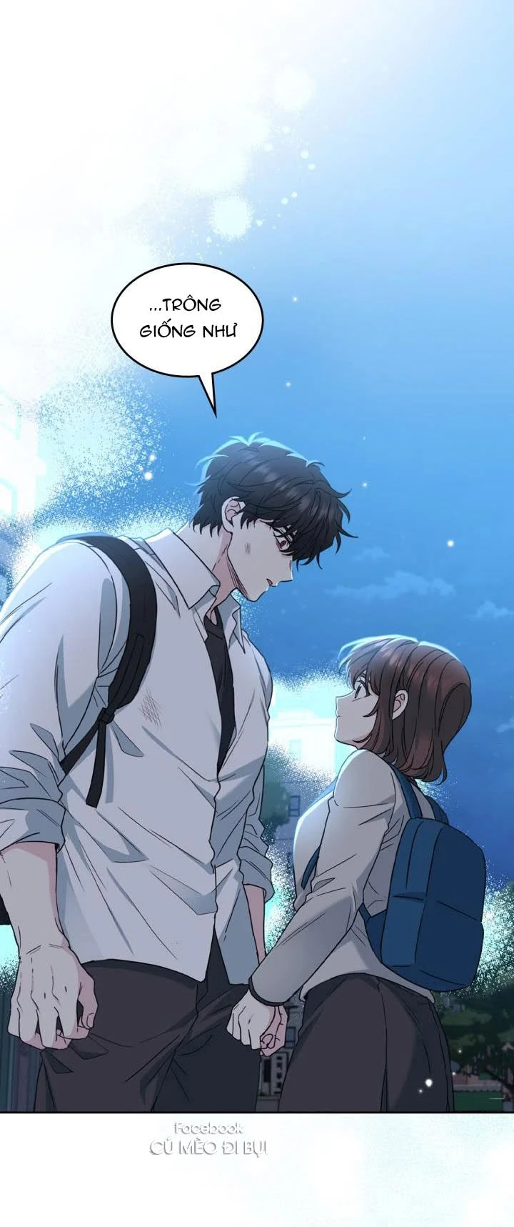 Luật Của Tiểu Thuyết Mạng Chapter 224 - 27