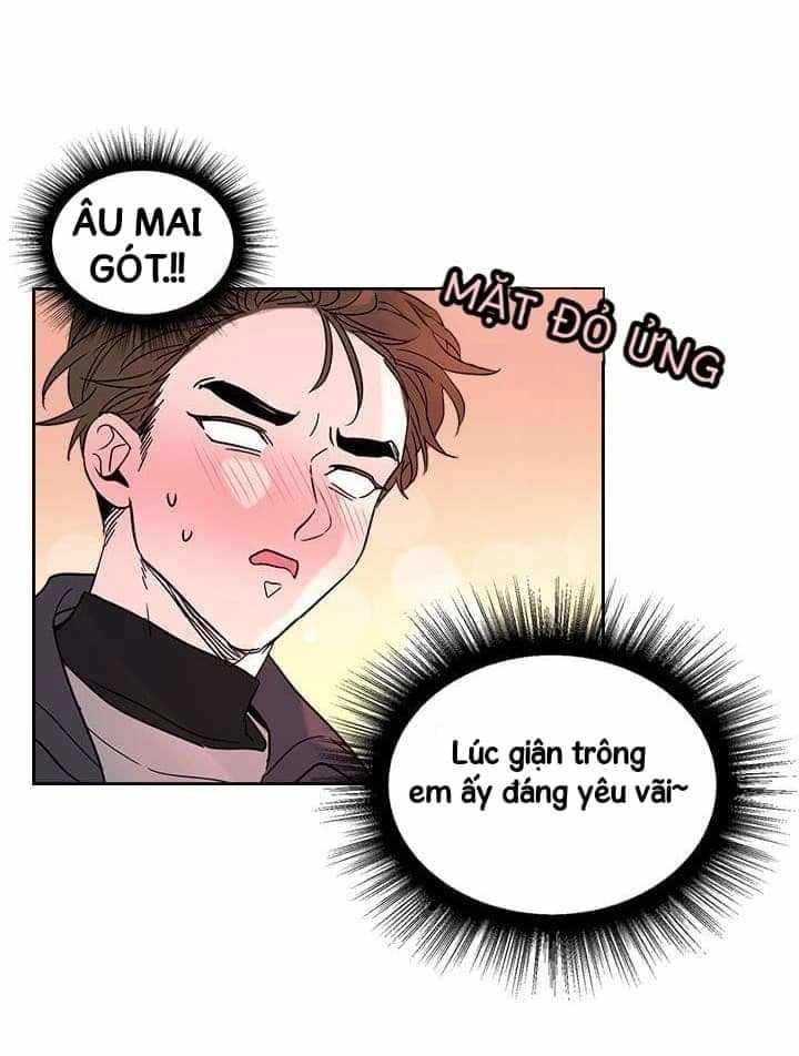 Luật Của Tiểu Thuyết Mạng Chapter 13 - 12