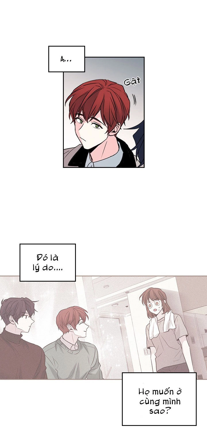 Luật Của Tiểu Thuyết Mạng Chapter 28 - 31