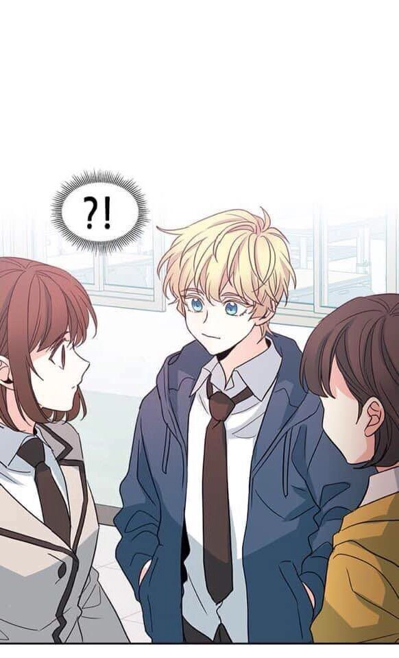 Luật Của Tiểu Thuyết Mạng Chapter 43 - 58