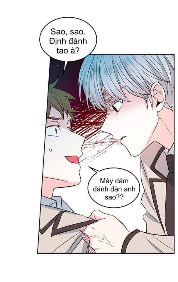 Luật Của Tiểu Thuyết Mạng Chapter 45 - 57