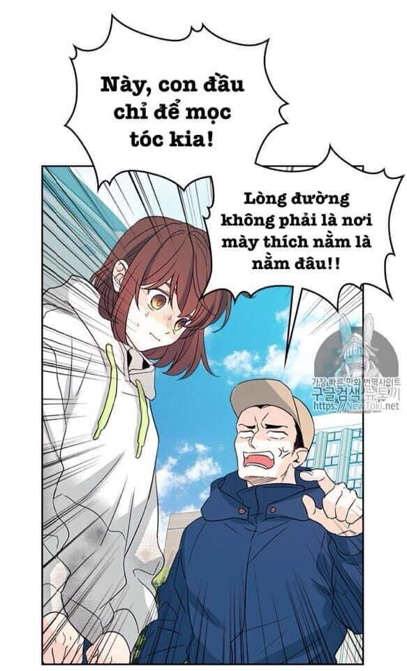 Luật Của Tiểu Thuyết Mạng Chapter 50 - 10