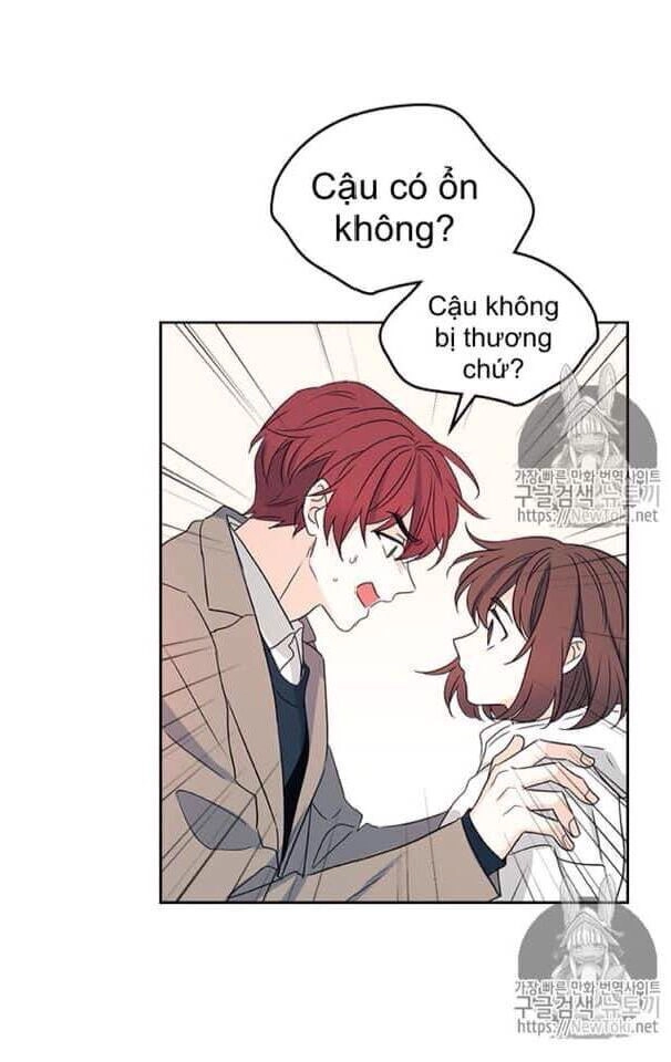 Luật Của Tiểu Thuyết Mạng Chapter 50 - 48