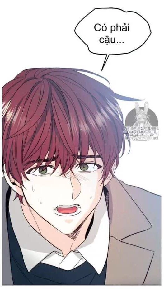 Luật Của Tiểu Thuyết Mạng Chapter 50 - 49