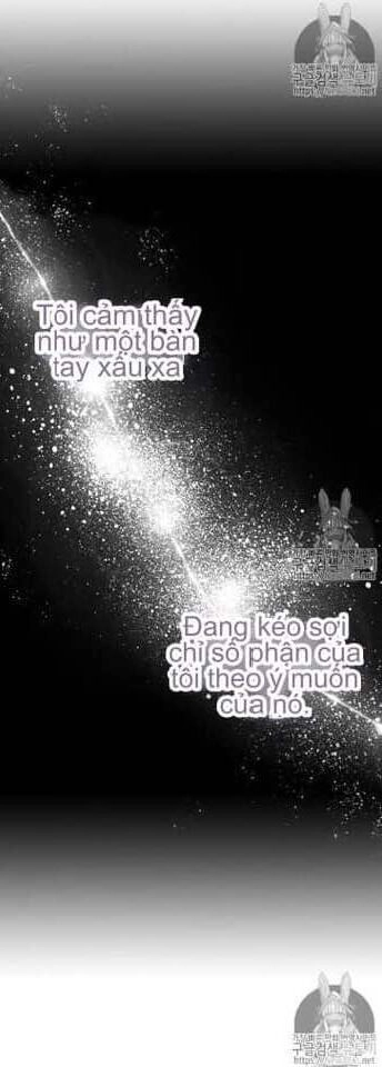 Luật Của Tiểu Thuyết Mạng Chapter 50 - 60