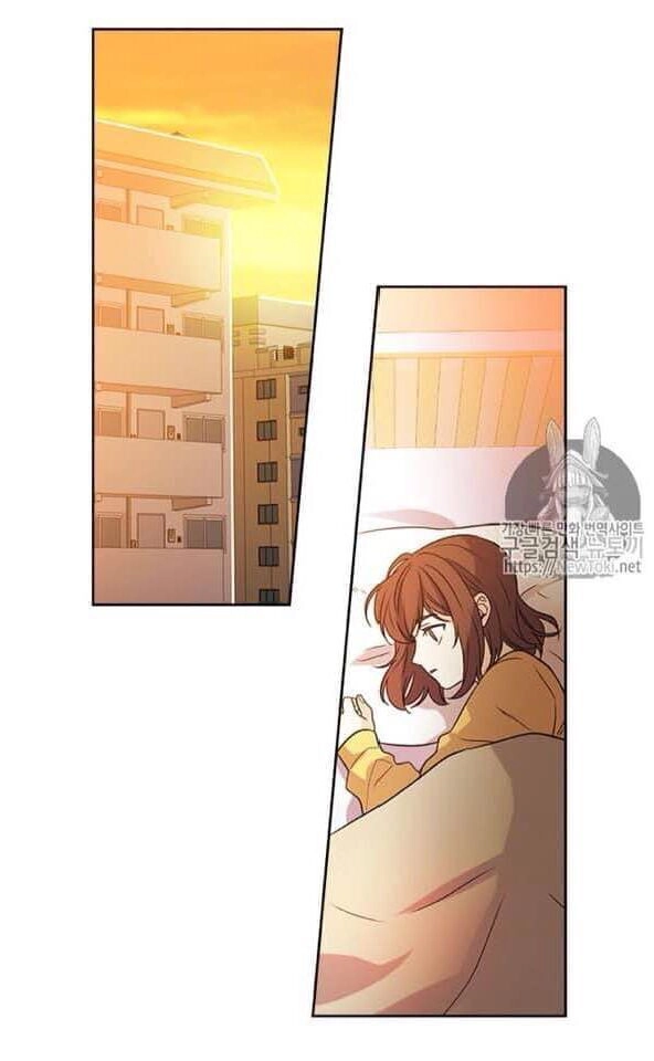 Luật Của Tiểu Thuyết Mạng Chapter 52 - 2