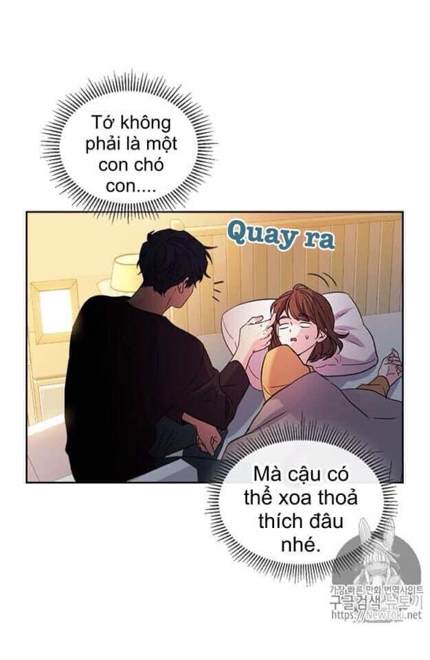 Luật Của Tiểu Thuyết Mạng Chapter 52 - 11