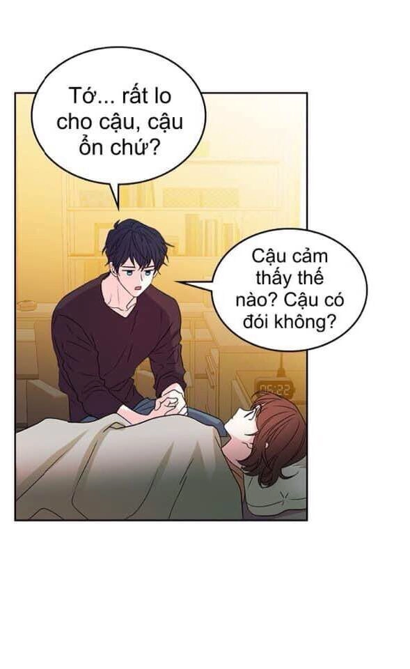 Luật Của Tiểu Thuyết Mạng Chapter 52 - 17