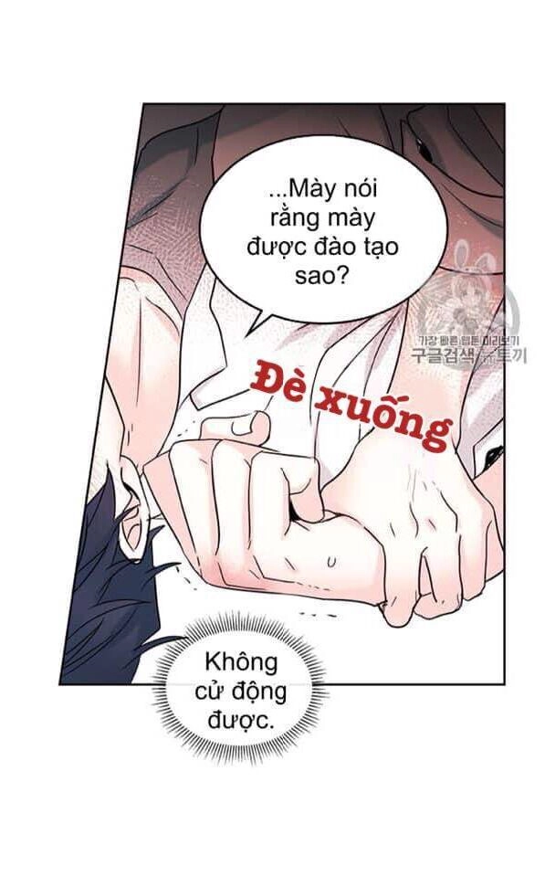 Luật Của Tiểu Thuyết Mạng Chapter 61 - 35