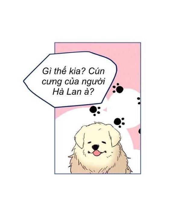 Luật Của Tiểu Thuyết Mạng Chapter 67 - 14