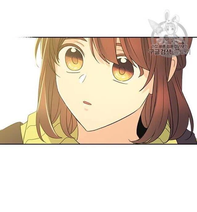 Luật Của Tiểu Thuyết Mạng Chapter 67 - 52