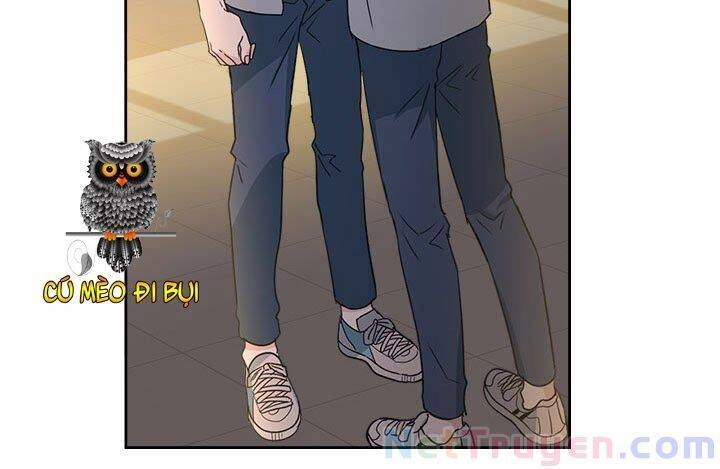 Luật Của Tiểu Thuyết Mạng Chapter 88 - 17