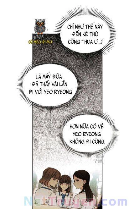 Luật Của Tiểu Thuyết Mạng Chapter 90 - 41