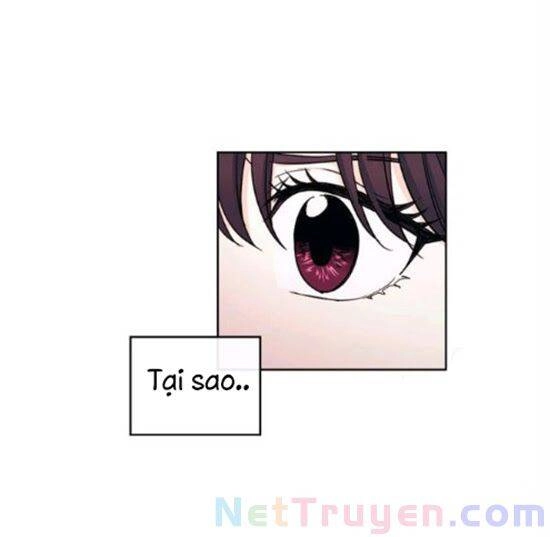 Luật Của Tiểu Thuyết Mạng Chapter 92 - 17