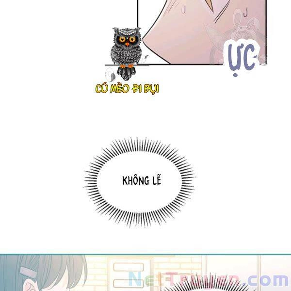 Luật Của Tiểu Thuyết Mạng Chapter 96 - 50