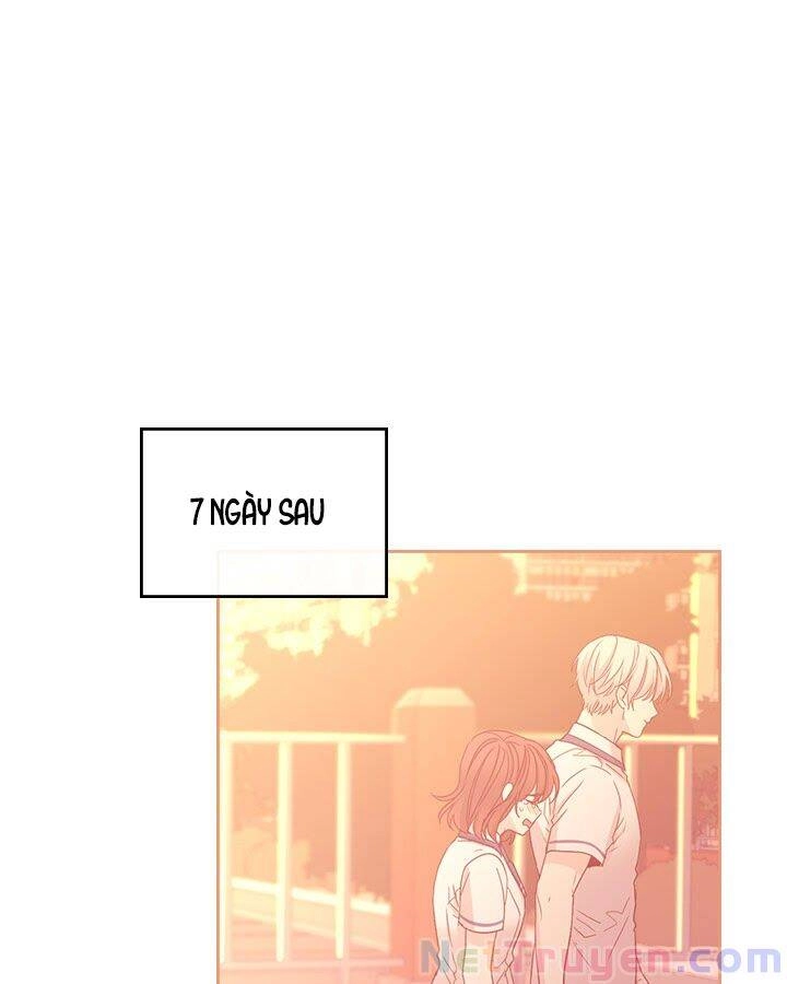 Luật Của Tiểu Thuyết Mạng Chapter 100 - 11