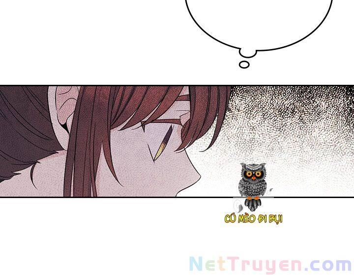 Luật Của Tiểu Thuyết Mạng Chapter 101 - 38