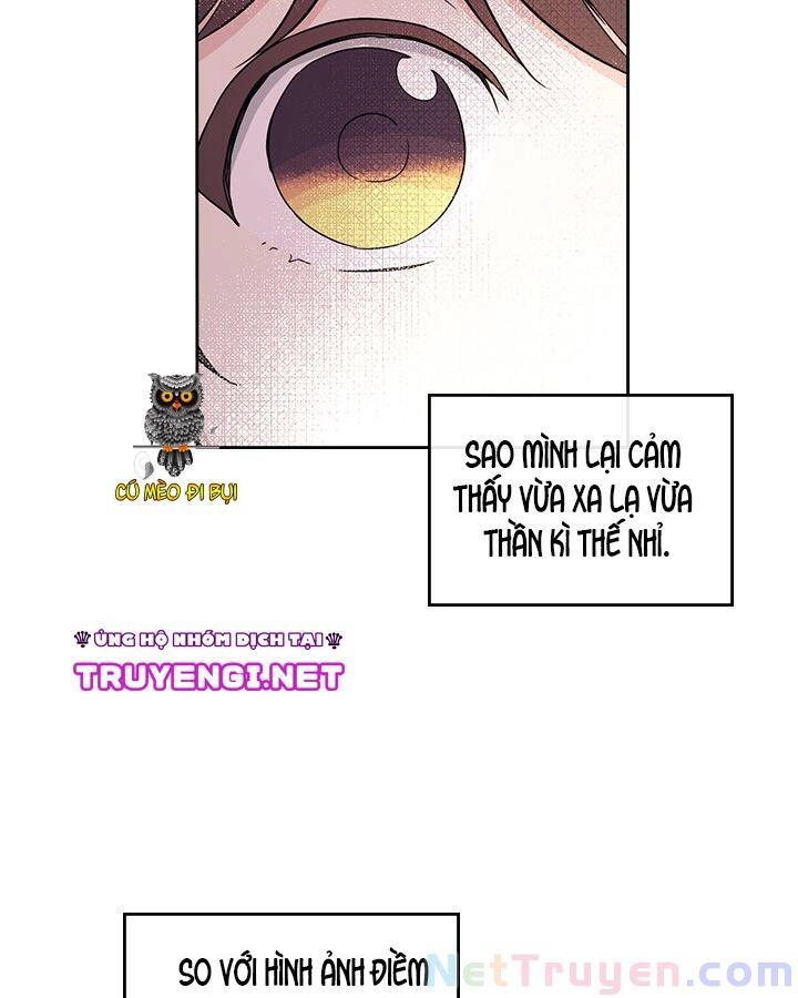 Luật Của Tiểu Thuyết Mạng Chapter 104 - 13