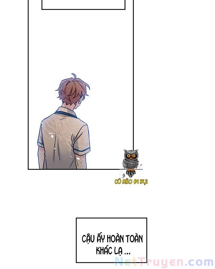 Luật Của Tiểu Thuyết Mạng Chapter 104 - 16