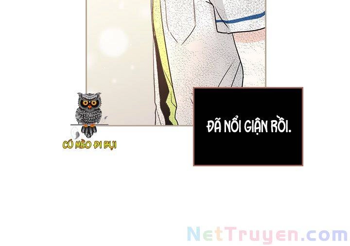 Luật Của Tiểu Thuyết Mạng Chapter 104 - 26