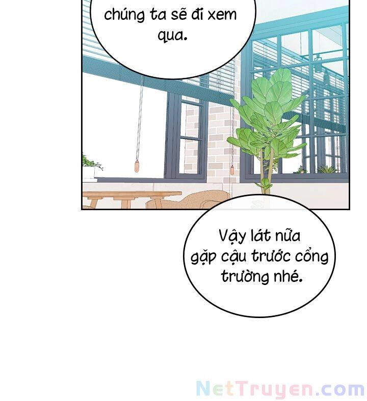 Luật Của Tiểu Thuyết Mạng Chapter 104 - 66