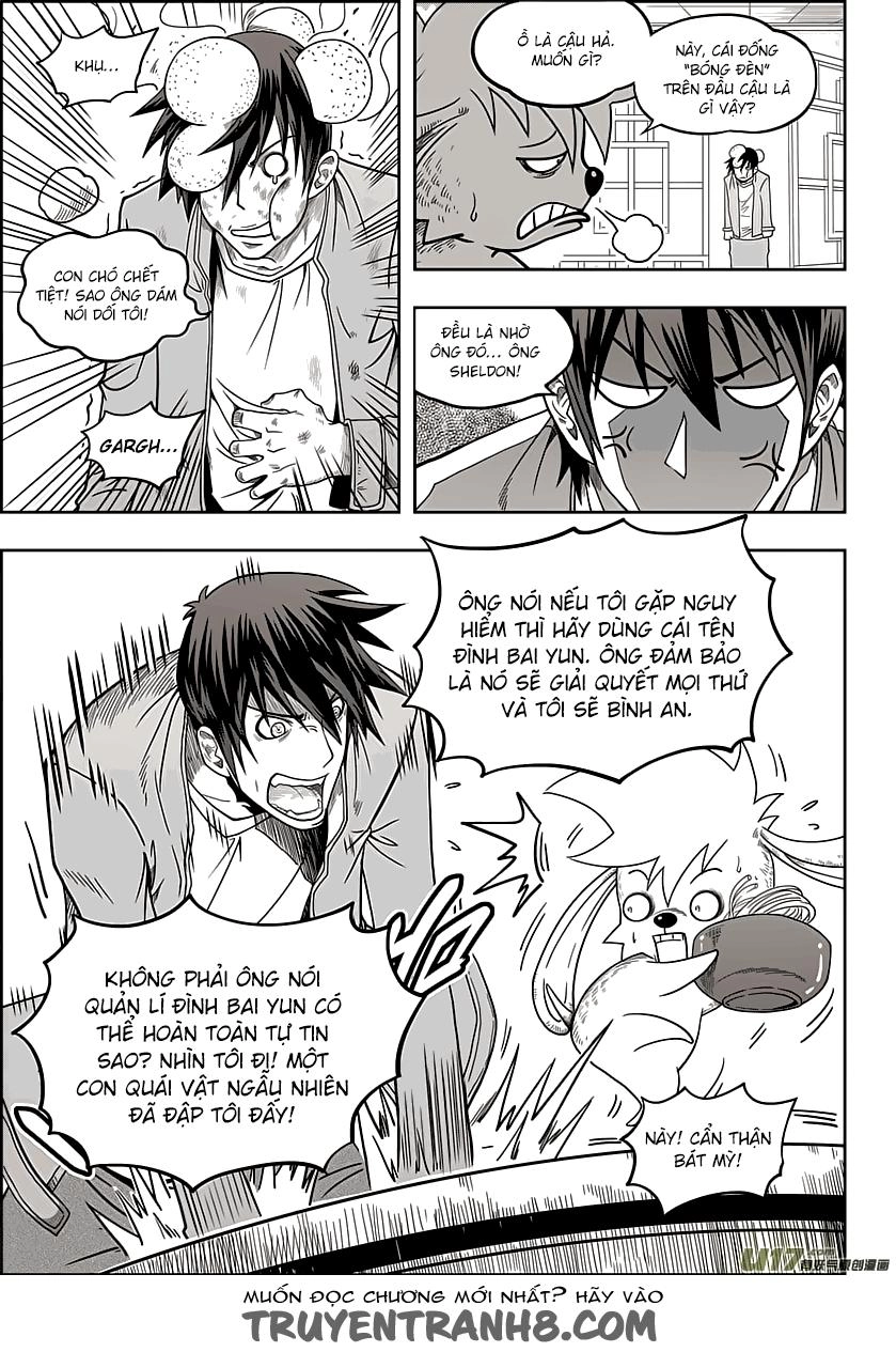 Macrophage Regulation Chapter 8 - 8