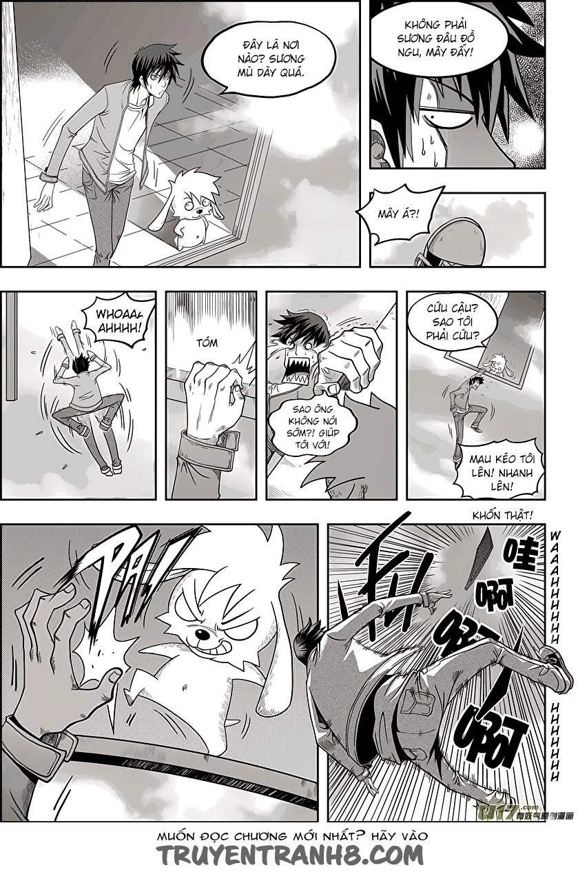 Macrophage Regulation Chapter 8 - 14