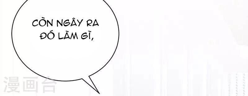 Sủng Thê Thành Nghiện: Lục Thiếu Sủng Từ Đáy Lòng Chapter 24 - 17