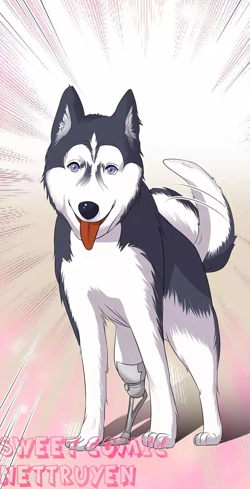 Sủng Thê Thành Nghiện: Lục Thiếu Sủng Từ Đáy Lòng Chapter 25 - 26