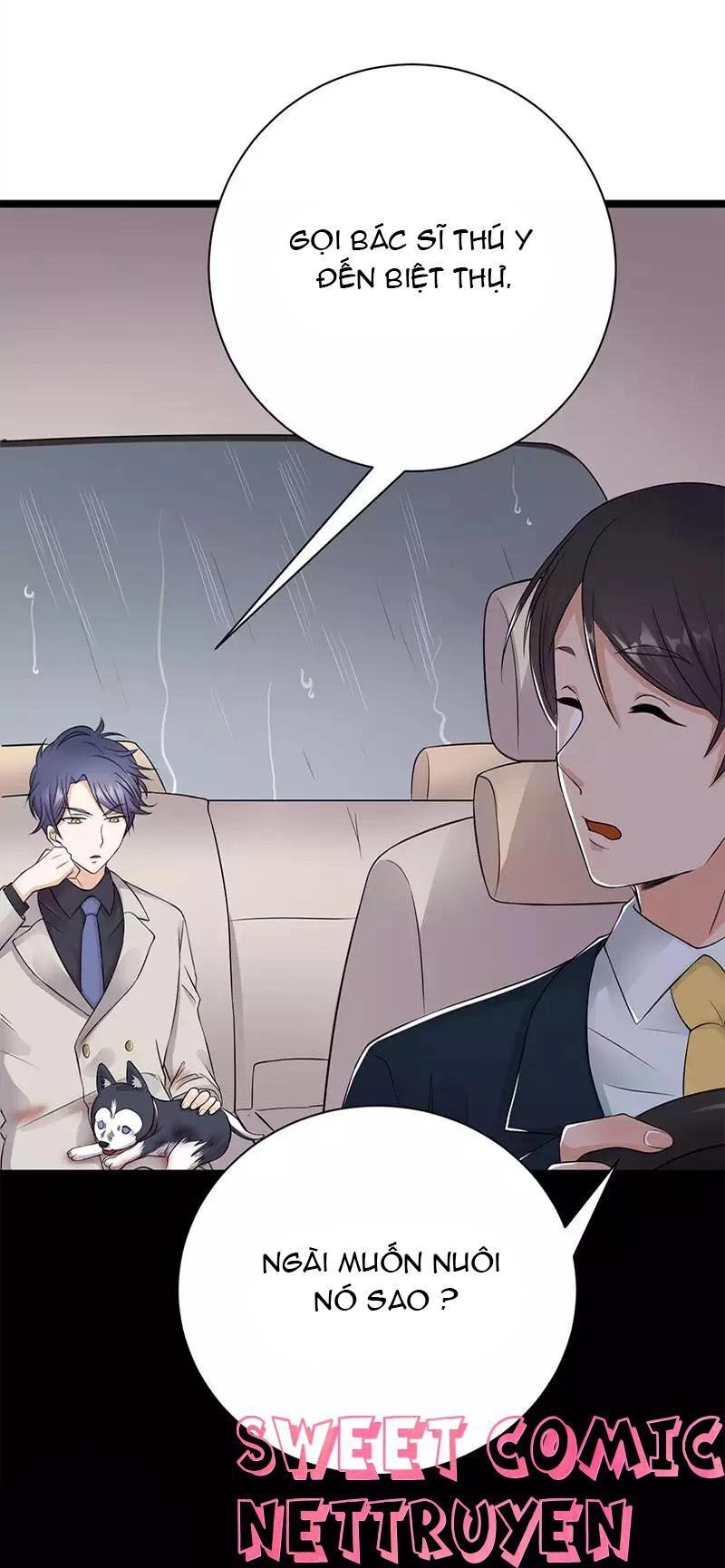 Sủng Thê Thành Nghiện: Lục Thiếu Sủng Từ Đáy Lòng Chapter 27 - 14