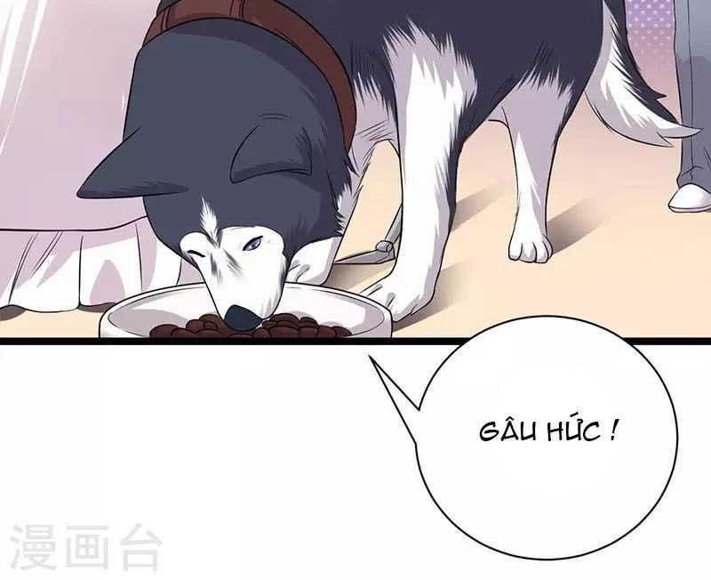 Sủng Thê Thành Nghiện: Lục Thiếu Sủng Từ Đáy Lòng Chapter 27 - 24