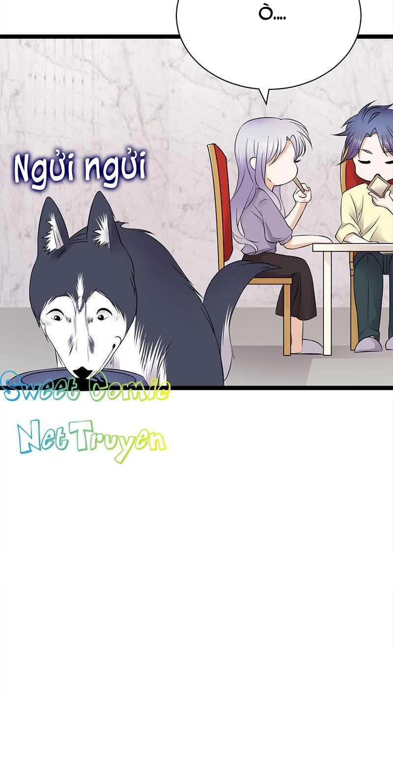 Sủng Thê Thành Nghiện: Lục Thiếu Sủng Từ Đáy Lòng Chapter 73 - 4