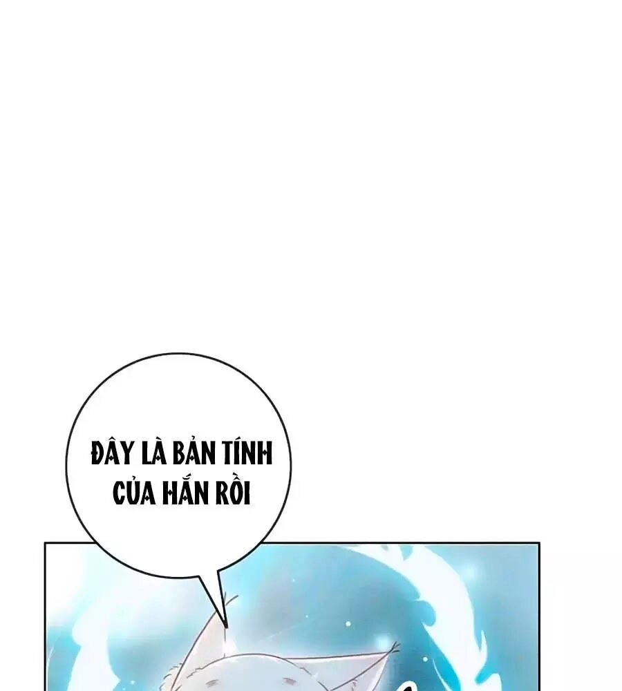 Triều Đình Có Yêu Khí Chapter 37 - 62