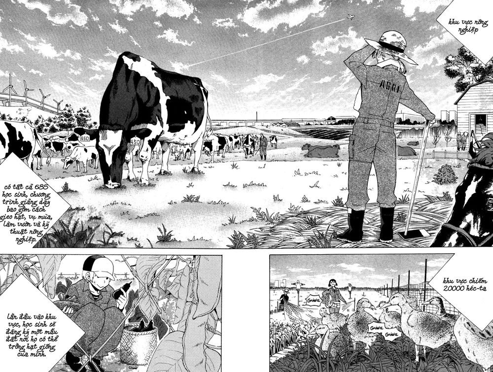 Hell’s Kitchen Chapter 8 - 17